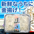 網元直送 釜揚げしらす 500g/1kg