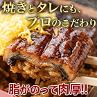 お得な「身がたっぷりカット鰻」5袋/15(10+5)袋