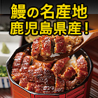 大特価！「鹿児島県大隅産刻み鰻」5袋/15(10+5)袋